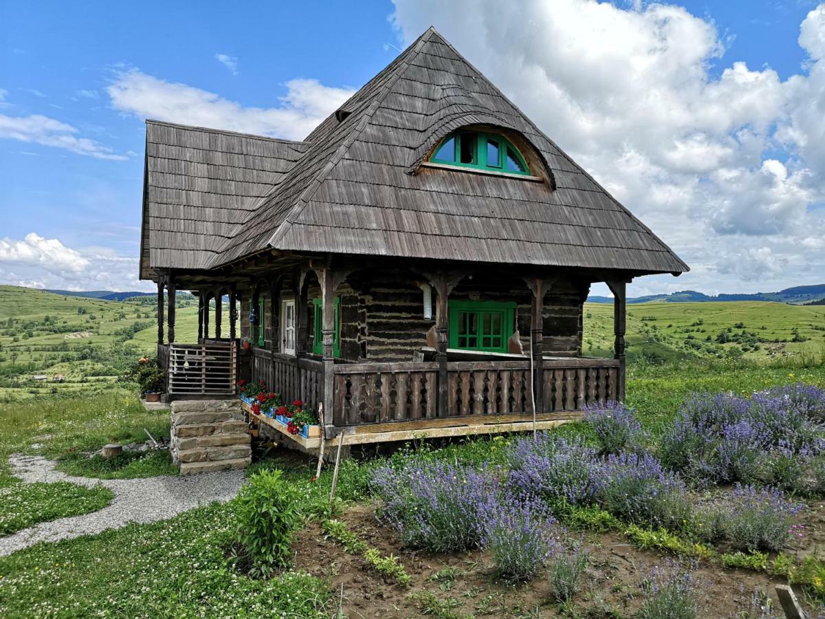 Casa Glod Guest House Glod  Exterior photo