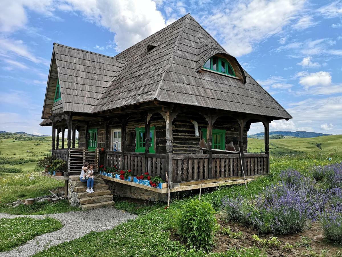 Casa Glod Guest House Glod  Exterior photo