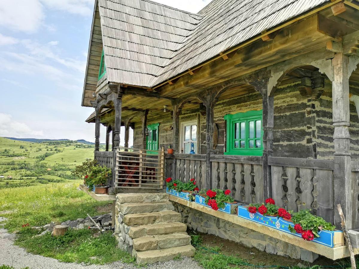 Casa Glod Guest House Glod  Exterior photo