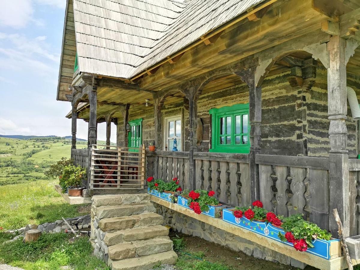 Casa Glod Guest House Glod  Exterior photo